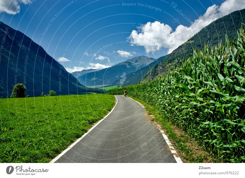 Etschradweg Umwelt Natur Landschaft Himmel Wolken Sommer Schönes Wetter Sträucher Alpen Berge u. Gebirge Verkehrswege Fahrradfahren Fahrradweg Erholung