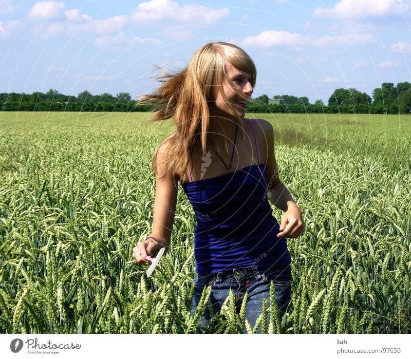 Hab ich dich endlich?! Wolken himmelblau Tier Insekt drohen wo Feld grün Weizen groß mehrfarbig drehen Schwung Mädchen Frau Ferne Jugendliche Himmel blue