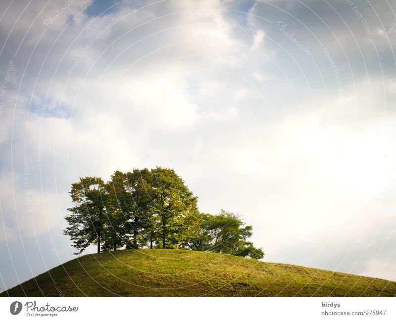 ruhiges Plätzchen Natur Himmel Wolken Horizont Sommer Baum Wiese Hügel ästhetisch einfach oben positiv Ferne Insel Farbfoto Außenaufnahme Menschenleer