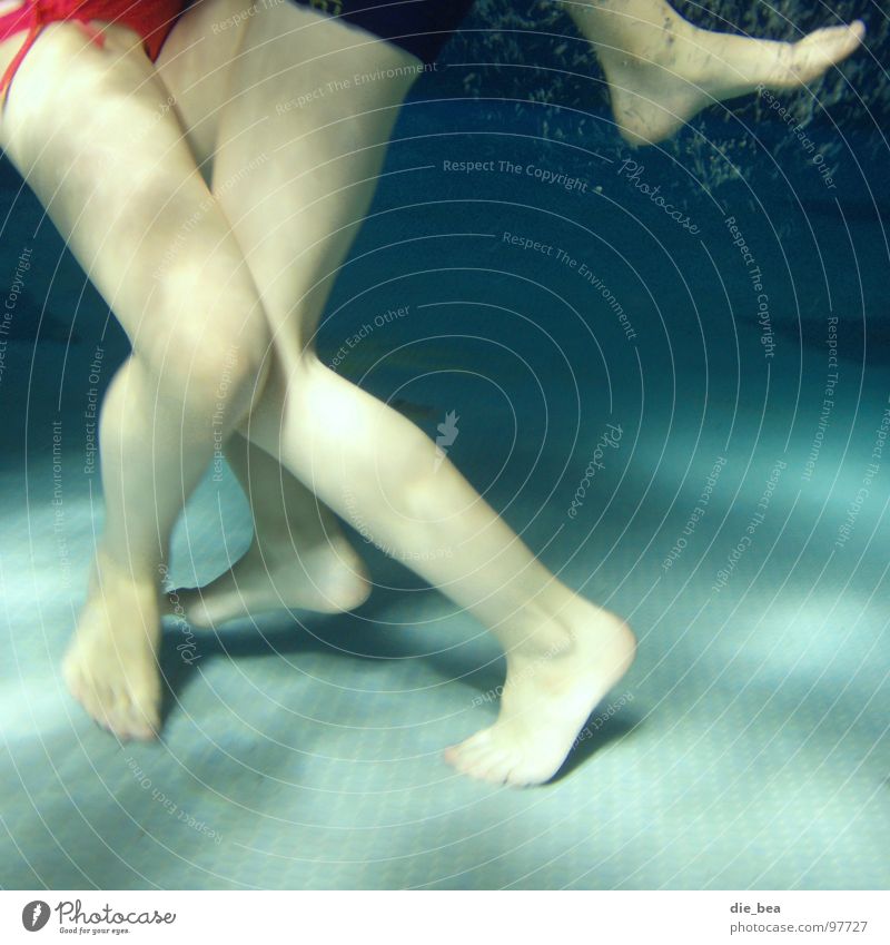 das gemeine Vielbein Schwimmbad Kind Badehose tauchen nass nackt kämpfen Spielen Wasser Fliesen u. Kacheln Beine rangeln Schwimmen & Baden