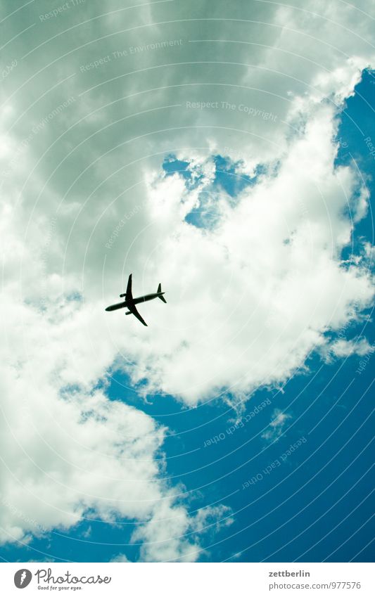 Flugzeug fliegen Luftverkehr fliegend oben Himmel Wolken Sommer Sonne Ferien & Urlaub & Reisen Reisefotografie Güterverkehr & Logistik Personenverkehr