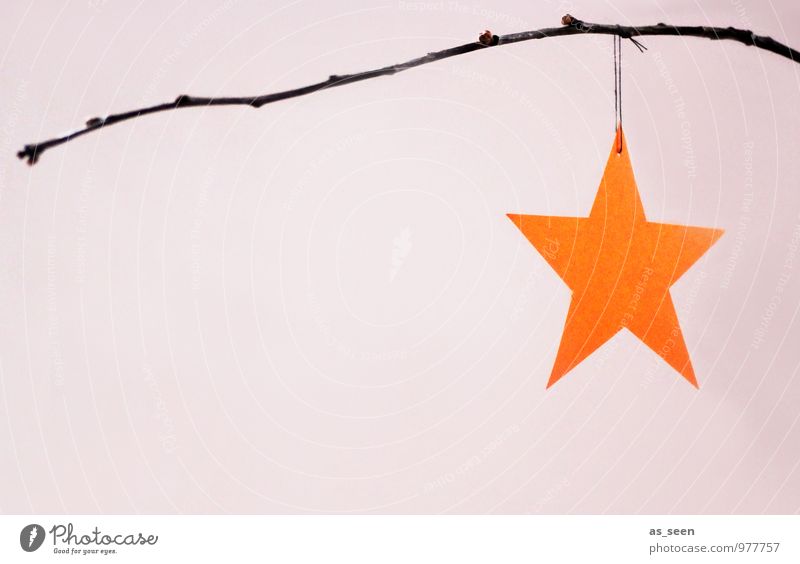 Stern in Orange Lifestyle Stil harmonisch ruhig Wohnung Dekoration & Verzierung Weihnachten & Advent Winter Zweig Ast Papier Stern (Symbol) hängen leuchten