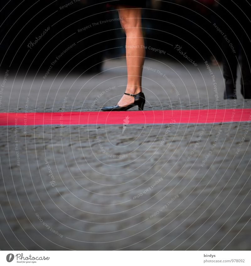 Erwartungshaltung Lifestyle Reichtum elegant Stil Frau Erwachsene Beine 1 Mensch 30-45 Jahre 45-60 Jahre Roter Teppich stehen warten ästhetisch Erotik nackt