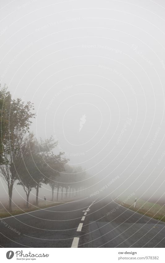 Herbststimmung Umwelt Natur Landschaft Luft Wolken Frühling Sommer schlechtes Wetter Nebel Baum Wiese Feld Hügel Dorf Kleinstadt Stadt Stadtrand Menschenleer