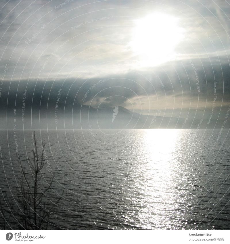 Lac Léman See Lac Lèmon Schweiz Wolken Wellen Freizeit & Hobby Sonntag ruhig Reflexion & Spiegelung Baum grau schlechtes Wetter Wasser Berge u. Gebirge Wind