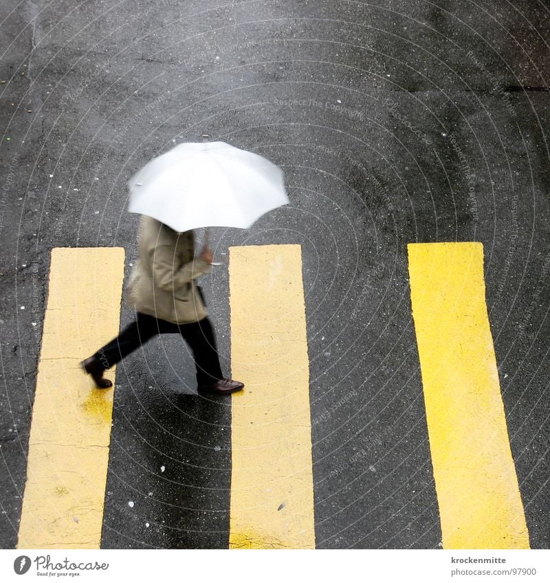 1, 2 oder 3 Zebrastreifen Fußgänger gelb Asphalt Verkehr Stadt gehen Überqueren betoniert Teer Streifen Regenschirm Unwetter nass Gewitter Schatten Straße