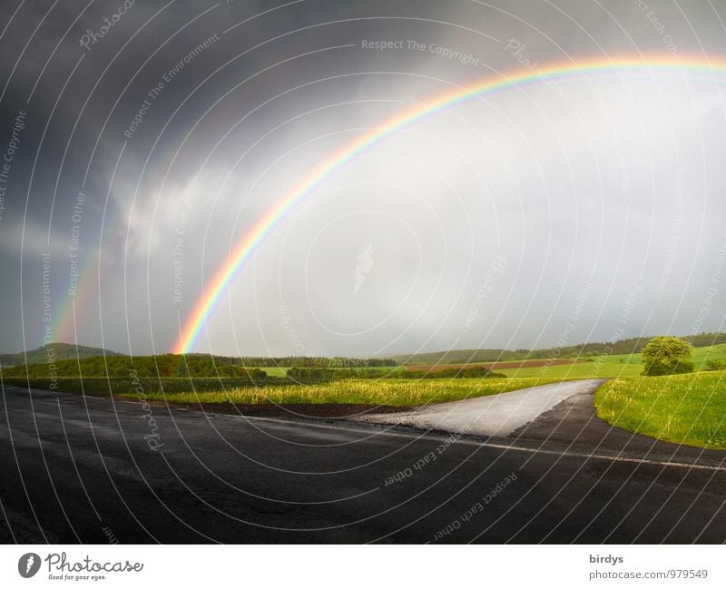 Verheißung Landschaft Urelemente Gewitterwolken Horizont Sommer Wiese Straße Wege & Pfade Wegkreuzung Regenbogen regenbogenfarben ästhetisch außergewöhnlich
