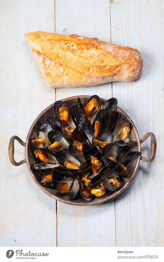 Mussels from Brussels Lebensmittel Meeresfrüchte Teigwaren Backwaren Mittagessen Abendessen Bioprodukte Schalen & Schüsseln Billig gut Miesmuschel Muschel