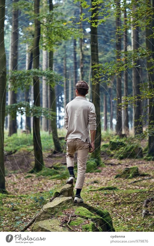 Naturverbunden Gesundheit Leben harmonisch Wohlgefühl Erholung ruhig Ausflug wandern Mensch Junger Mann Jugendliche 18-30 Jahre Erwachsene Umwelt Landschaft