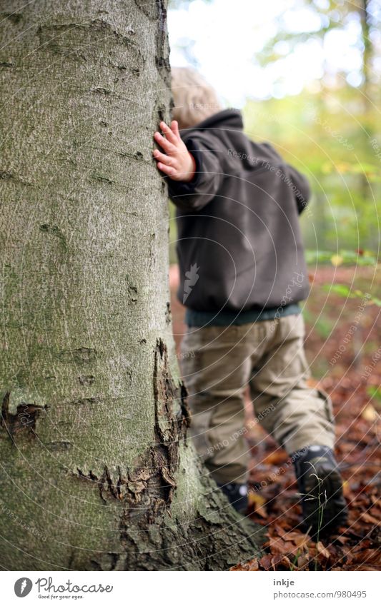 Kleiner Junge im Wald Spielen Kindheit Leben 1 Mensch 1-3 Jahre Kleinkind Natur Winter Baum Baumstamm berühren gehen natürlich Neugier Interesse Bildung