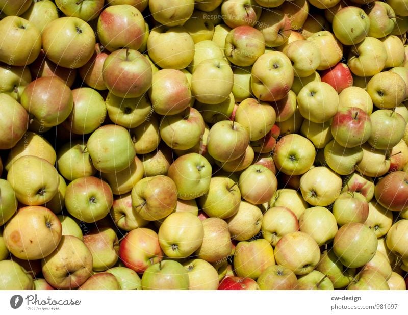 Apfelernte Umwelt Natur Sommer kaufen Gesundheit glänzend natürlich saftig süß mehrfarbig gelb gold grün Farbe Leichtigkeit Ordnung Vergänglichkeit