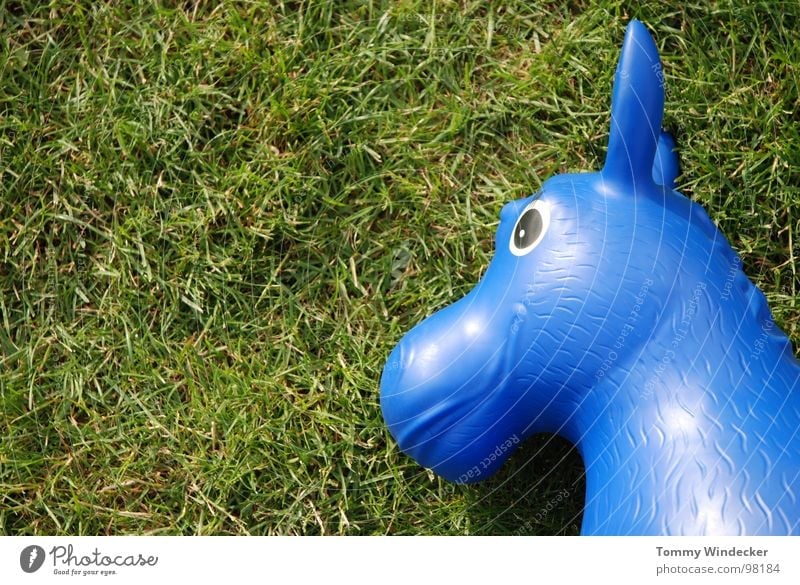 Blauschimmel Pferd Wiese Gras Halm grün Spielzeug Sommer Gummi Spielen hüpfen Ostergeschenk Schaukelpferd Gummitier Reitsport Rasen blau spiezeug Statue