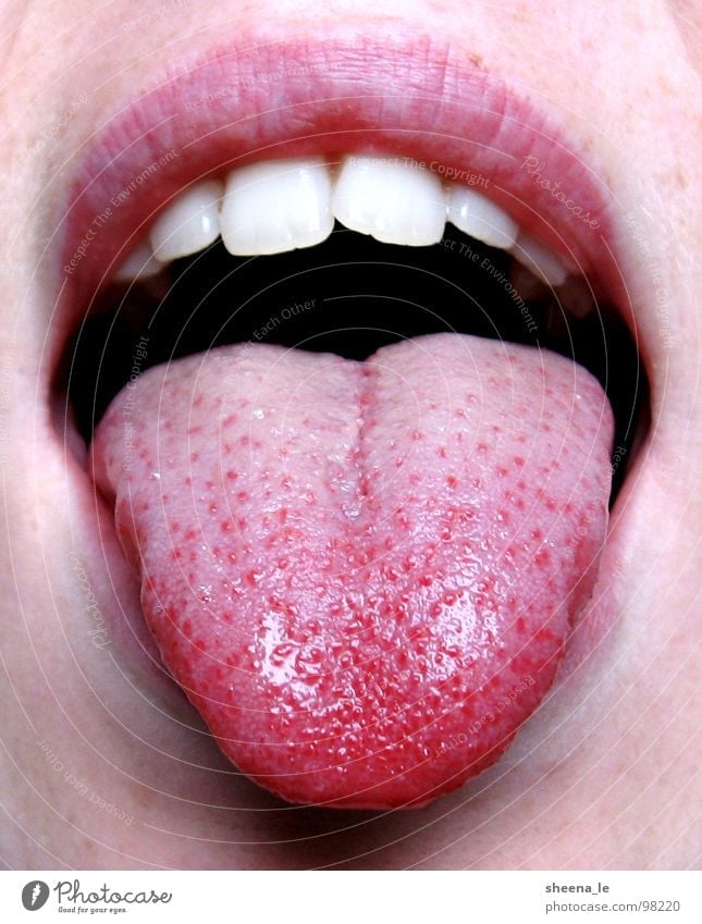 Zunge raus Freude Mund Lippen Zähne genießen Küssen frech lustig rosa rot Appetit & Hunger jung rausstrecken bäh Gesicht Haut Nahaufnahme Makroaufnahme