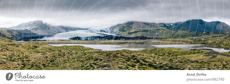 Island Ferien & Urlaub & Reisen Tourismus Ausflug Abenteuer Ferne Natur Landschaft Urelemente Erde Wasser Himmel Wolken schlechtes Wetter Sträucher Moos Hügel