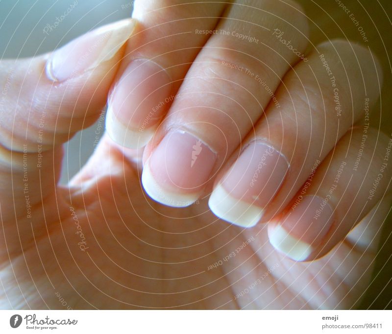 gepflegt Hand Finger Frau Fingernagel Nagel nehmen Creme Hautfarbe Gesundheit schön nails fingernails finger nails Körperteile fangen take health