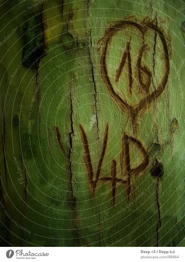V+P = <3 Baum grün braun geschnitzt Baumrinde Zusammensein Furche schwarz Liebe alt Herz geritzt