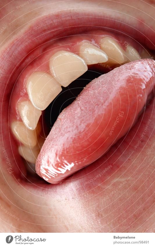 Rund um den Mund Lippen Zunge rosa Makroaufnahme Nahaufnahme hinausstrecken rund um den mund frech Mund offen Detailaufnahme Zähne