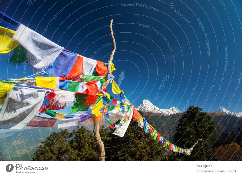 may the wind horse Natur Landschaft Wolkenloser Himmel Gipfel Schneebedeckte Gipfel ästhetisch blau standhaft Interesse Himalaya Himalaja Fahne Fahnenmast