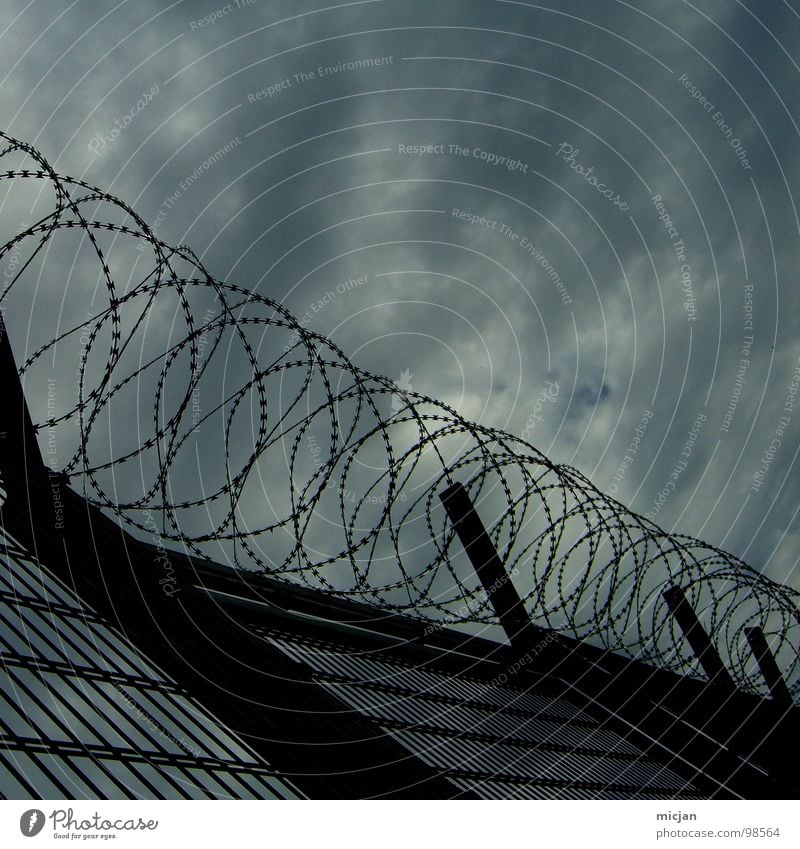 Isolation Zaun Stacheldraht Draht Eisen Wolken Spirale gefangen geschlossen Barriere Isolierung (Material) trist geschmückt Einsamkeit Angst Krimineller