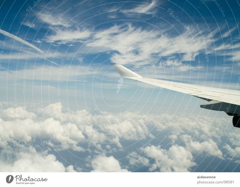 Himmelsflug Wolken Flugzeug Sommer weiß oben Luftverkehr blau