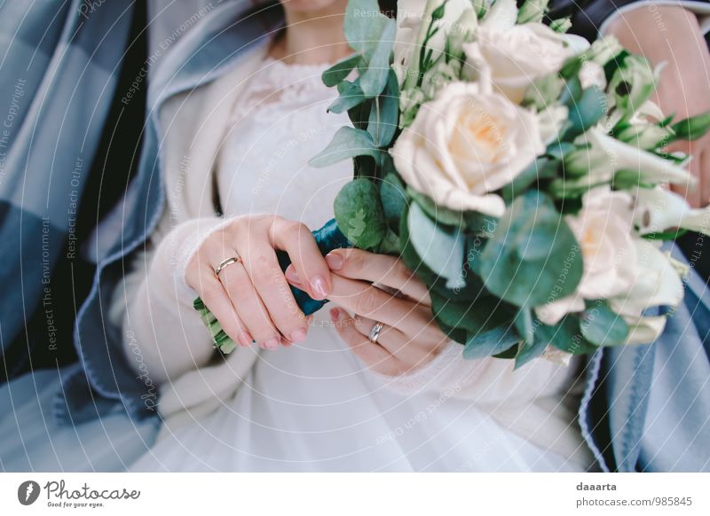 der Tag und die Blumen elegant Stil Freude Feste & Feiern Hochzeit feminin Partner Hand Finger Pflanze Rose Blatt Brautkleid Ring Ehering Engagement
