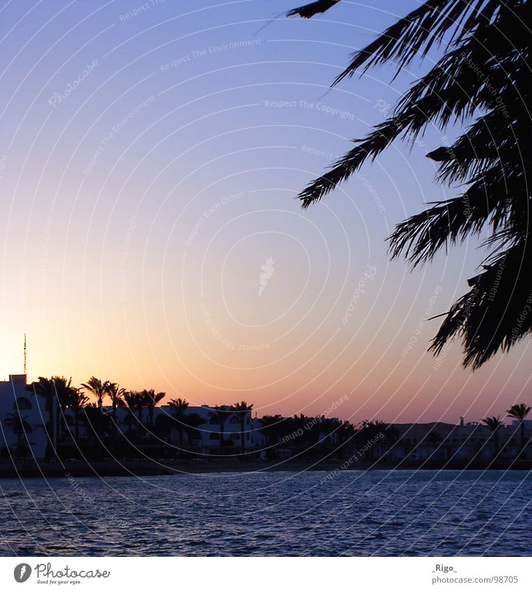 Die Sonne ist weg Sonnenuntergang Palme Strand Meer Haus Küste Afrika Himmel Wasser blau Bucht