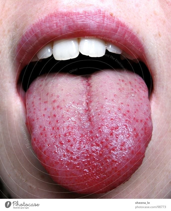 Zunge Freude Mund Lippen Zähne frech lustig rosa rot jung rausstrecken bäh Gesicht Haut Nahaufnahme Makroaufnahme