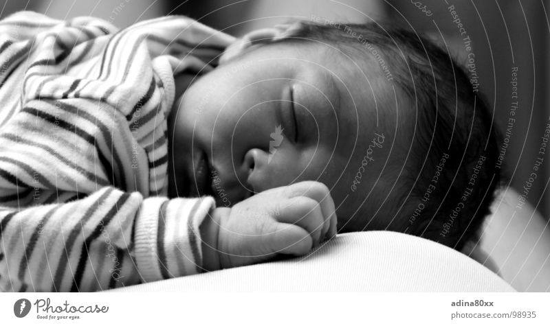 Schlaf, Kindlein, schlaf schlafen ruhig Baby klein zart Storch Nachkommen Zufriedenheit Frieden Vertrauen ruhen Kleinkind rughig friedlich peaceful Newborn