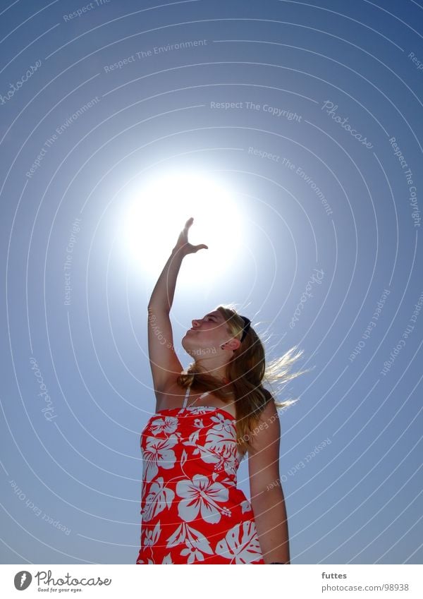 Sonnenfang II Sommer Ferien & Urlaub & Reisen Mallorca Hibiscus Luft Gegenlicht Lichterscheinung Himmel