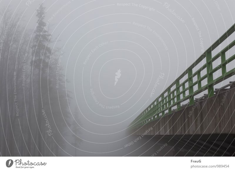 Quo vadis? Himmel Herbst Wetter Nebel Baum Menschenleer Brücke Autobahnbrücke Verkehrswege Straßenverkehr Hochstraße grau grün Stimmung Farbfoto Außenaufnahme