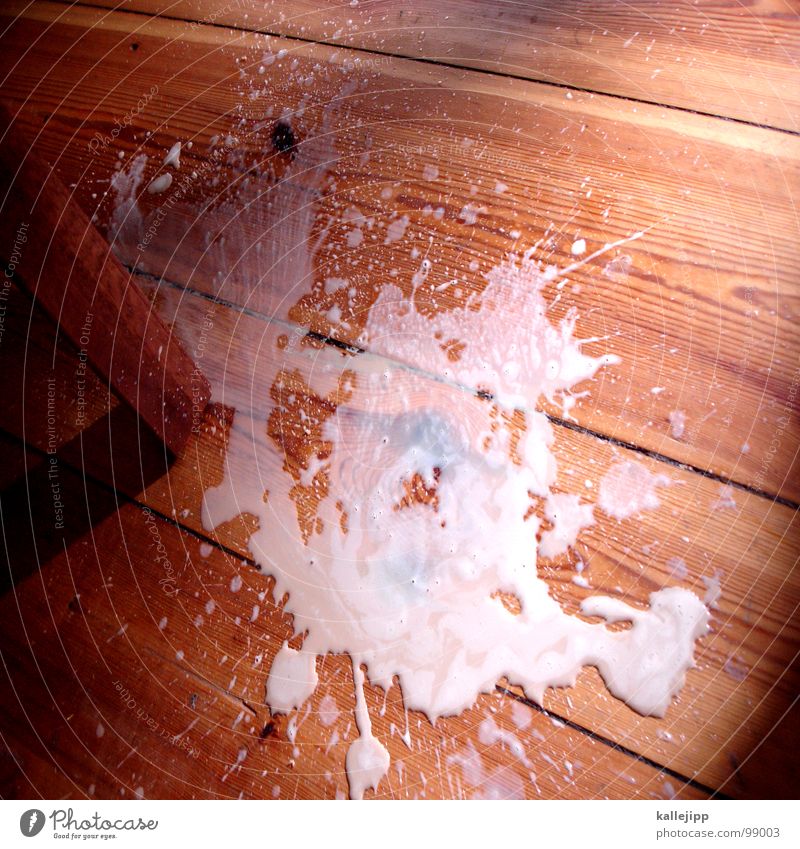 menschliches versagen II Milch Behälter u. Gefäße Tanzfläche Bodenbelag Holz Parkett Schiffsplanken Missgeschick Unfall Scherbe klecksen weiß Lebensmittel