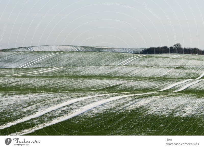 linierte Landschaft Winter Schnee Himmel Eis Frost Feld Hügel kalt grün Beginn einzigartig Erwartung planen Spuren Linie Muster Strukturen & Formen Menschenleer