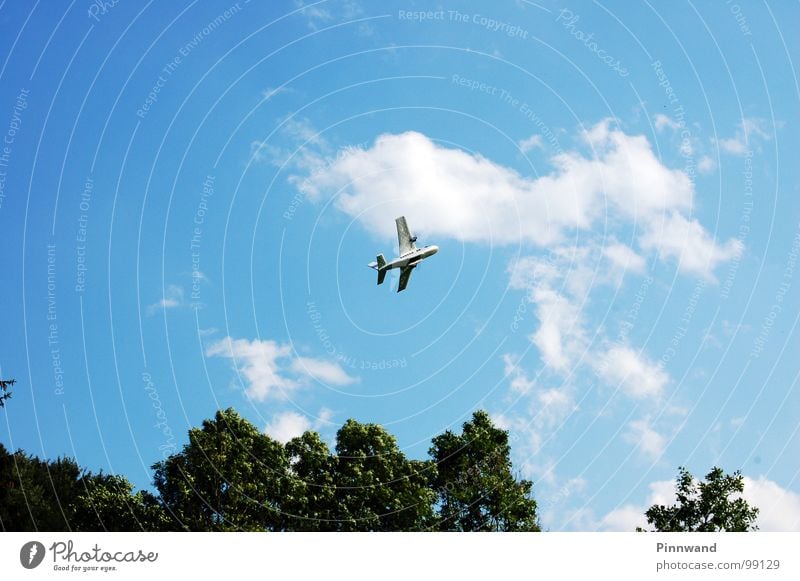 tiefflug Flugzeug Wolken Segeln Sturzflug Absturz aufsteigen Höhenrausch steigend fallen Erfolg Baum gefährlich Absturzgefahr Lebensgefahr Modellflugzeug falsch