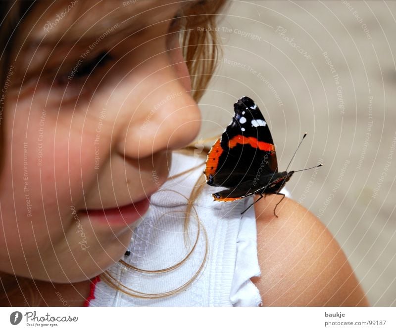 Die Schöne und das Biest Schmetterling Kind Tier Insekt mehrfarbig ruhig Mädchen verträumt Mut schön nah Erholung Vertrauen Sommer Liebe Sand Freude fliegen