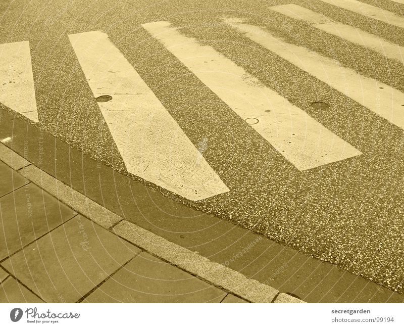 zebra Zebrastreifen Bordsteinkante weiß Streifen Asphalt Menschenleer Raum Überqueren Fußgänger gehen Bürgersteig Symbole & Metaphern Verkehrswege Warnhinweis
