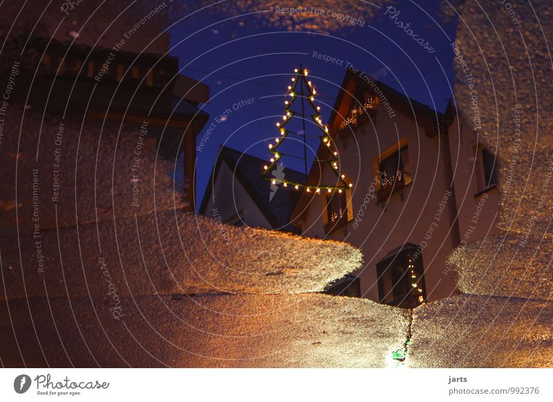 kehrseite Weihnachten & Advent Kleinstadt Fußgängerzone Haus Straße Hoffnung Weihnachtsbaum Lichterkette Pfütze wasser Spiegelbild Farbfoto Außenaufnahme