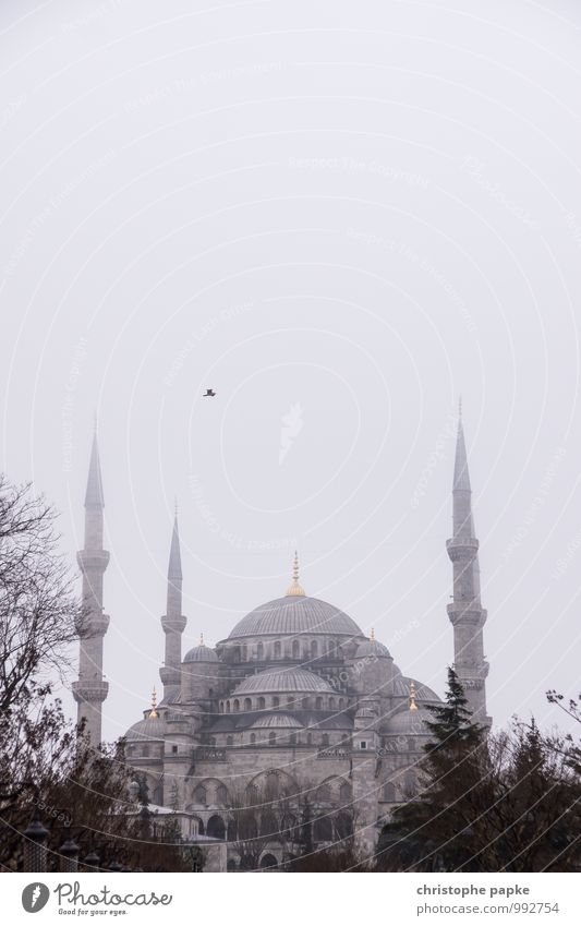 Blaue Moschee, Istanbul, Türkei Stadt Sehenswürdigkeit Ferien & Urlaub & Reisen Ferne Städtereise Herbst Winter schlechtes Wetter Nebel Stadtzentrum Bauwerk