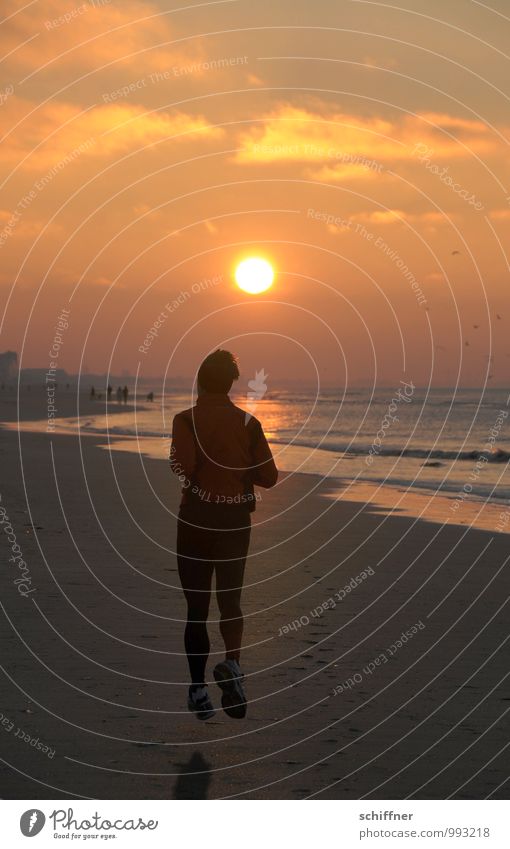 Belgischer Spätsport Mensch maskulin Mann Erwachsene 1 30-45 Jahre laufen rennen Joggen Strand Meer Küste Sonnenuntergang Schweben Abend Abendsonne Belgien