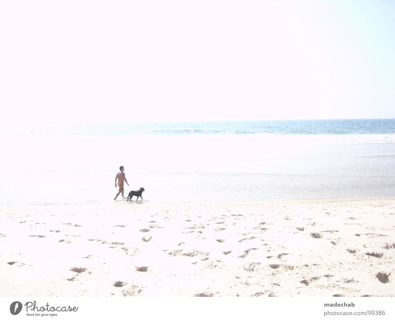 MR. GASSI & FRIENDS Mann Hund Strand Überbelichtung weiß unschuldig Meer Sommer Portugal Ferien & Urlaub & Reisen Mensch Luft Physik angenehm Gesundheit Tier