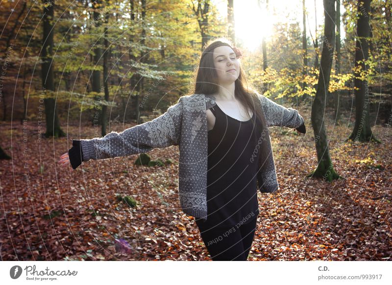 Sylvia V Junge Frau Jugendliche 18-30 Jahre Erwachsene Baum Wald Pullover brünett langhaarig atmen genießen Glück positiv braun gelb grün orange schwarz