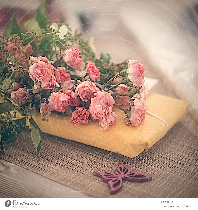 selbstgemacht und hübsch verpackt Zeichen schön schenken Geschenk Rose Schmetterling Dekoration & Verzierung Geburtstagsgeschenk Farbfoto Innenaufnahme