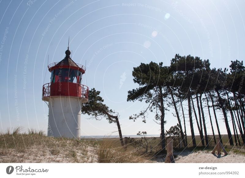 Leuchtturm auf Hiddensee leuchten Leuchtfeuer Strand Düne Meer Wolken Küste Himmel Außenaufnahme Farbfoto Landschaft Ferien & Urlaub & Reisen Natur Menschenleer
