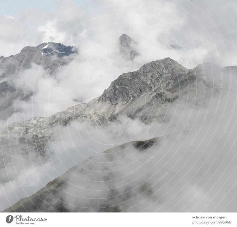 nebel lässt weit blicken Umwelt Natur Landschaft Urelemente Luft Wolken Klima Wetter schlechtes Wetter Wind Nebel Felsen Alpen Berge u. Gebirge Gipfel