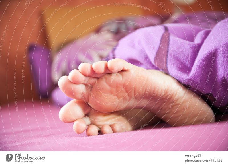 natürlich | frühmorgens Bett Schlafzimmer Mensch feminin Frau Erwachsene Weiblicher Senior Fuß 1 45-60 Jahre schlafen nackt Erotik violett rosa Müdigkeit schön