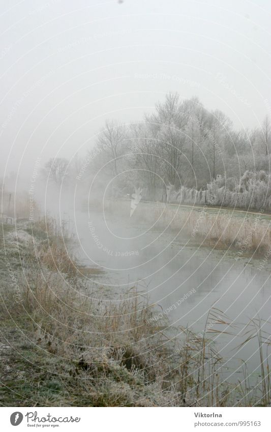 Winter am Fluss Natur Landschaft Wasser Nebel Schnee Park Flussufer Heisse Quellen ästhetisch fantastisch natürlich Gefühle ruhig Frieden Glück kalt Hévíz Kanal