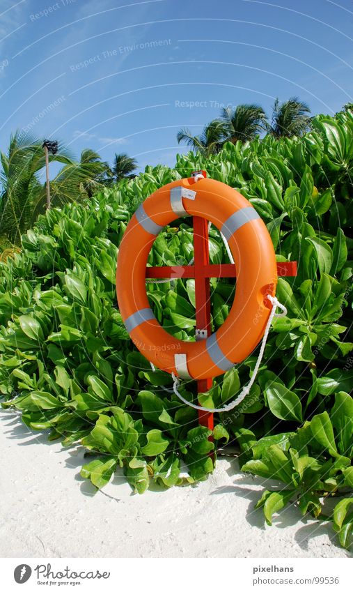 Strandschwimmer grün weiß Palme Sträucher Rettung Mittag heiß Sommer Malediven blau Seil Kreis Rettungsring Sicherheit Blauer Himmel Totale orange kreisrund