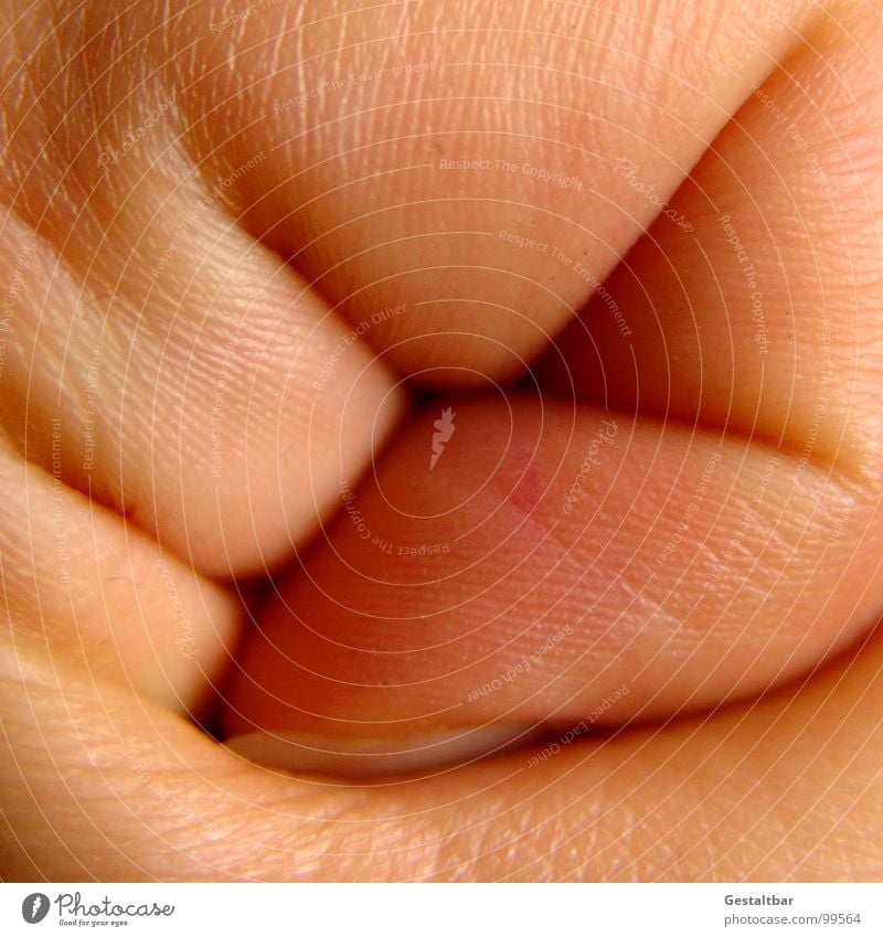 Schnecke Hand Finger Zeigefinger Daumen Fingerabdruck Nagel Fingernagel Gelenk Hautfarbe Faust Dermatologie Anatomie gestaltbar Makroaufnahme Nahaufnahme