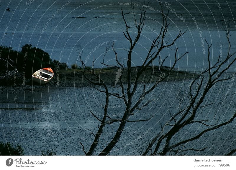 das Boot Wasserfahrzeug Strand dunkel Stimmung See Baum Neuseeland abstrakt Hintergrundbild Herbst Winter Trauer Verzweiflung Kontrast morbide Surrealismus