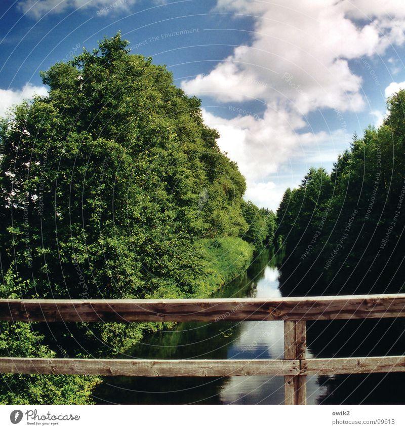 Noch mal Kanal Augustów Umwelt Natur Landschaft Pflanze Urelemente Luft Wasser Himmel Wolken Klima Schönes Wetter Baum Bach Fluss Brücke Brückengeländer Verkehr