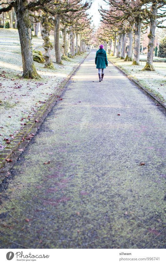 durch die Allee feminin Junge Frau Jugendliche 1 Mensch 30-45 Jahre Erwachsene Winter Schönes Wetter Eis Frost Baum Park Wiese entdecken laufen alt